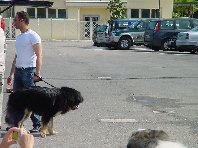 Immagine 006.jpg